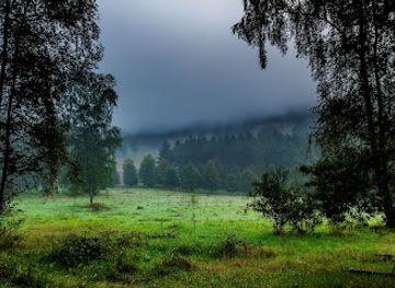 netherlands/veluwe/landmark/landgoed-de-paltz-utrechts-landschap