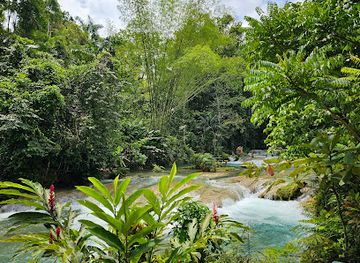jamaica/great-morass/landmark/blue-hole-mineral-spring-jamaica