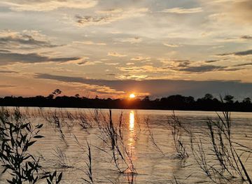 colombia/leticia/landmark/expeditions-george-of-the-jungle