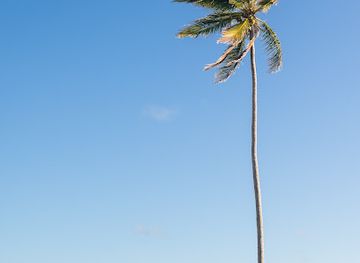 dominican-republic/punta-cana/landmark/punta-cana-photo-session
