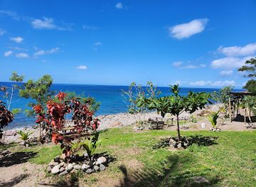 dominica/freshwater-lake/landmark/champagne-reef-dominica