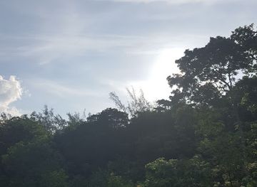 jamaica/runaway-bay/landmark/royal-palm-estate