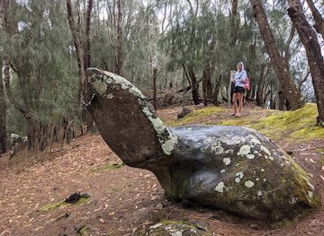 hawaii/molokai/landmark/ka-ule-o-nanahoa