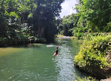 puerto-rico/yunque-national-forest/landmark/natural-wonders-puerto-rico