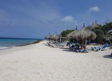 curacao/mambo-beach/landmark/mikve-israel-emanuel-synagogue