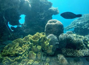 israel/red-sea-coral-reef/landmark/coral-world