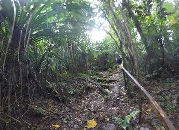 vanuatu/norsup/landmark/santo-heritage-tours