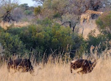 south-africa/bushveld/landmark/vaalkop-dam-nature-reserve