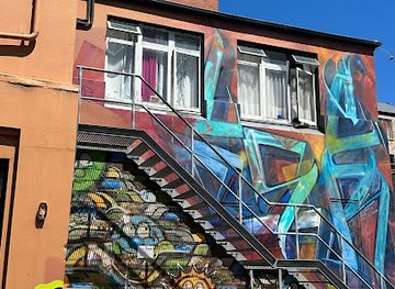 new-zealand/dunedin/cbd-central-business-district/landmark/dunedin-street-art-trail