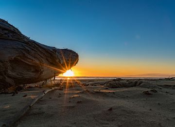 new-zealand/southland/landmark/oreti-beach