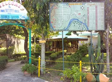philippines/davao-region/landmark/davao-butterfly-garden