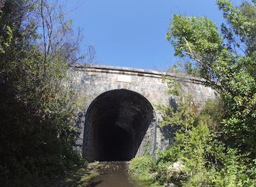 chile/pichilemu/landmark/tunel-el-arbol