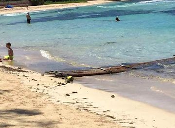 jamaica/john-crow-mountains/landmark/jamaica