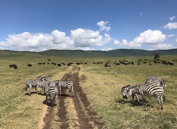 tanzania/ruaha-national-park/landmark/ngorongoro-conservation-area