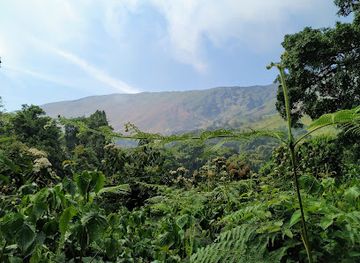 cameroon/grassfield-region/landmark/mount-cameroon-national-park