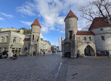 estonia/soomaa-national-park/landmark/viru-gate