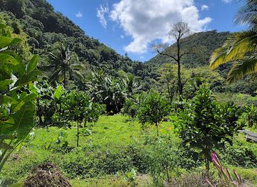 saint-lucia/soufriere-quarter/landmark/project-chocolat