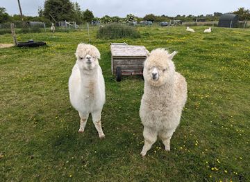 ireland/connemara-national-park/landmark/the-burren-nature-sanctuary
