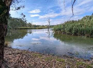 australia/high-country/landmark/wonga-wetlands