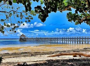 fiji/denarau-island/landmark/fiji-local-taxi-transfers-tours-junior-knows-fiji