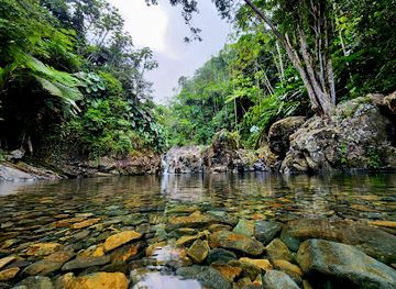 puerto-rico/yunque-national-forest/landmark/hacienda-tinajas