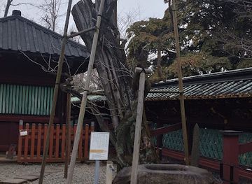 japan/tokyo/landmark/kisasagenoki