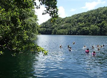 palau/eil-malk/landmark/jellyfish-lake