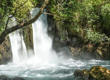 israel/golan-heights/landmark/hermon-stream-nature-reserve