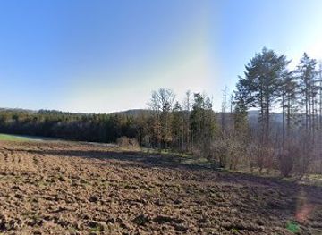 luxembourg/wiltz/landmark/george-o-mergenthaler-memorial