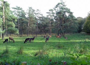 netherlands/veluwe/landmark/wildhut