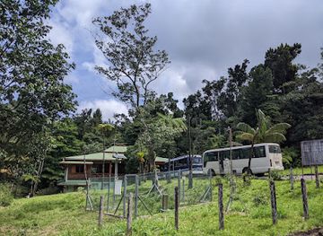 dominica/freshwater-lake/landmark/syndicate-nature-trail