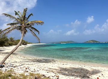 saint-vincent-and-the-grenadines/tobago-cays-marine-park/landmark/petit-tabac