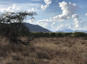 kenya/samburu-region/landmark/buffalo-springs-national-reserve