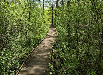 wisconsin/kettle-moraine-state-forest/landmark/kettle-moraine-low-prairie-state-natural-area