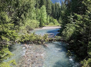montana/glacier-national-park/landmark/trail-of-the-cedars-nature-trailhead