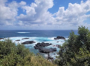 norfolk-island/anson-bay/landmark/norfolk-island-national-park