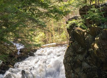 maine/biddeford/landmark/clifford-park