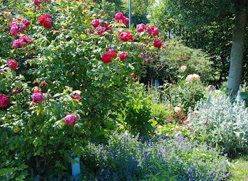 austria/vienna/donaustadt/landmark/englischer-garten