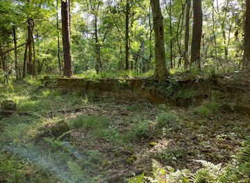 florida/southeast-florida/landmark/drew-mansion-site