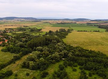 hungary/balaton-uplands/landmark/sea-of-stones-szentbekkalla