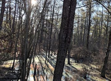 delaware/blackbird-state-forest/landmark/fort-miles-historic-area