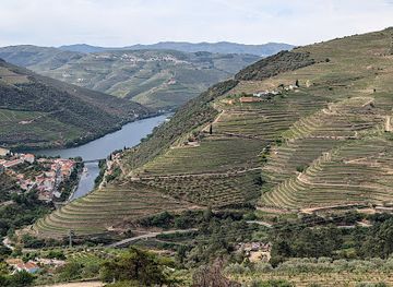 portugal/douro-valley/landmark/cmtour-douro-valley-tours