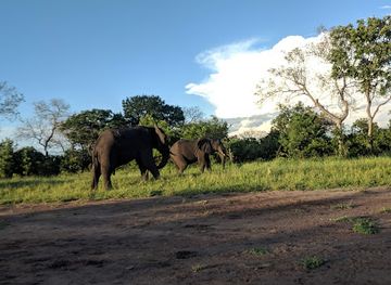 malawi/lilongwe-plain/landmark/majete-wildlife-reserve