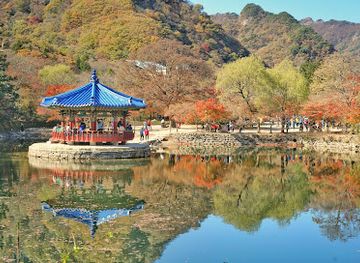 south-korea/honam-region/landmark/naejangsan-national-park