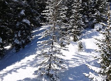 austria/lech/landmark/sagenwald