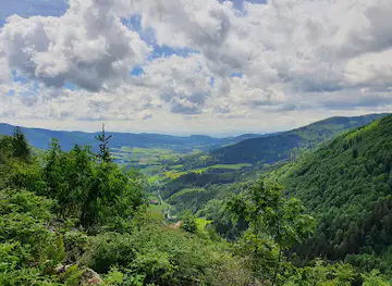 Ysperklamm - wildes Wasser, wilder Wald