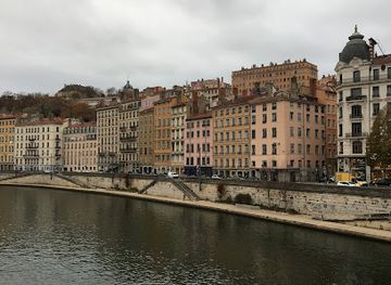france/lyon/croix-rousse/landmark/fresque-des-lyonnais