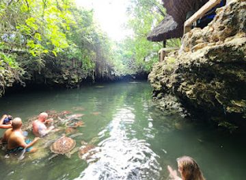 tanzania/zanzibar-city/nungwi/landmark/swim-with-turtles-sanctuary-zanzibar