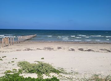 texas/padre-island-national-seashore/landmark/the-pilings
