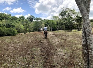 guatemala/flores/landmark/ixpanpajul